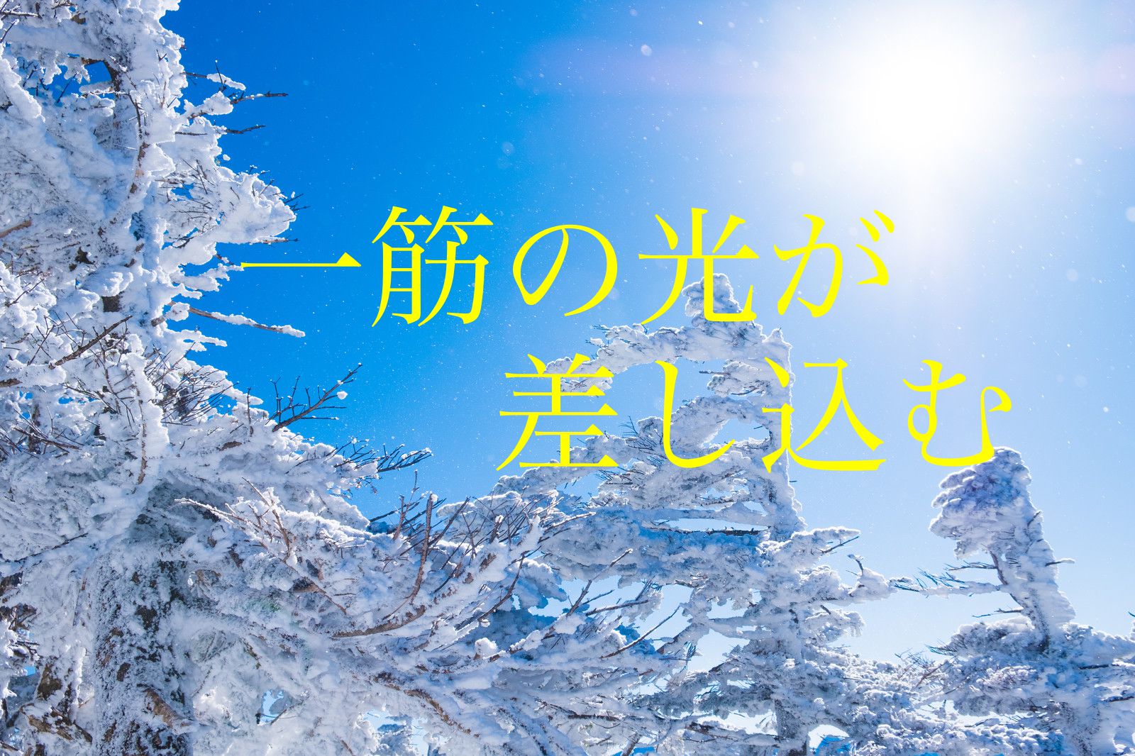 きっかけ　勝てるようになった