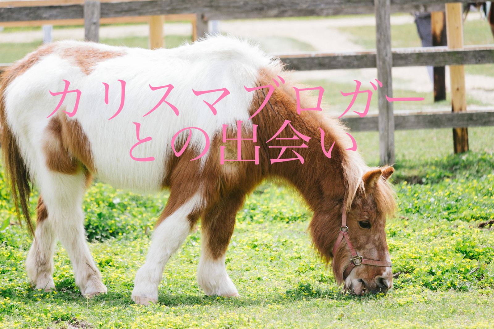 ブロガー　カリスマ　出会い