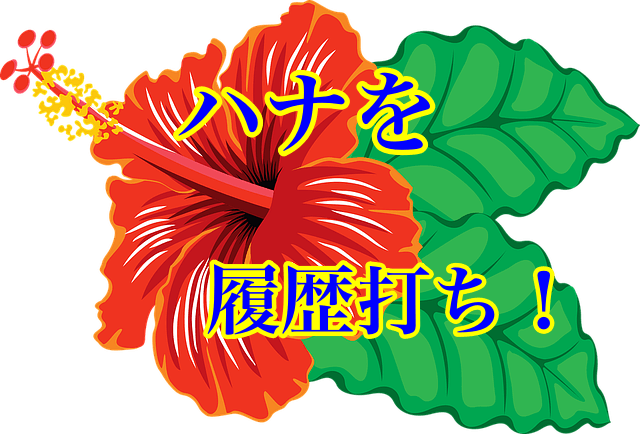 ニューキングハナハナ 3月3日の年1イベントだからこそ 良さハナを自信満々に履歴打ちしてみた結果 サクスロ 現役大学生でも サクッとスロットで月10万稼げるんや